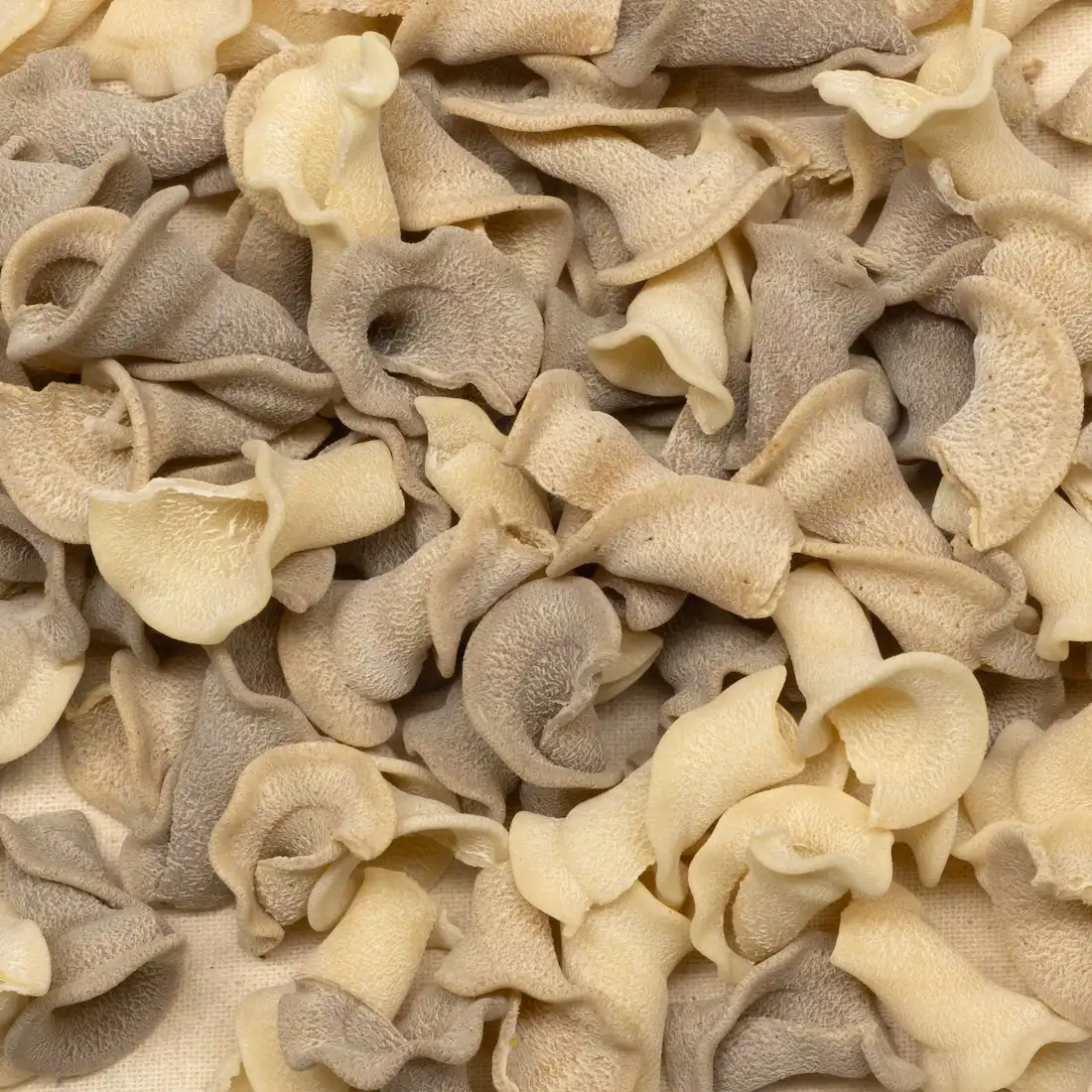 Trompetas ecológicas Martinelli